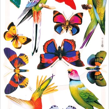 イギリス製クロモス 蝶と鳥＃1 ラメなし DA-CHER088の画像
