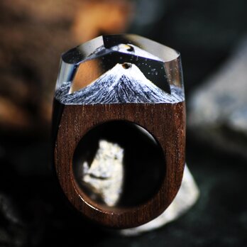 【送料無料】Fuji～Resin Wood Ring～の画像