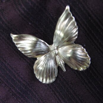 真鍮ブラス製　輝く蝶/バタフライ型ピンズブローチ　結婚式・成人式などシャツ・ジャケットや帽子・バッグのワンポイントにの画像