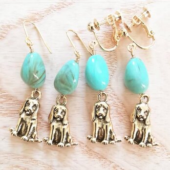 cute puppy♡turquoiseの画像