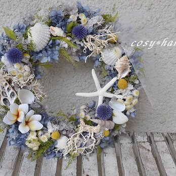 海風ブルーwreathの画像