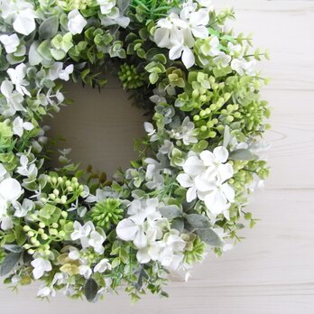 green wreath -qua-の画像
