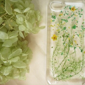 iPhone5【ガーデンピクニック】グリーン系の画像