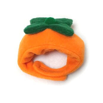 犬猫用コスプレ　柿のかぶりもの（帽子）の画像