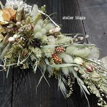 八ヶ岳〜スリムスワッグ001