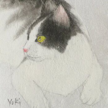 猫の絵の画像