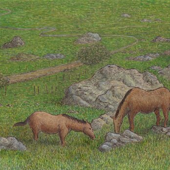 草を食む馬たち～グラサレマにての画像