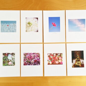 《送料無料》5枚 選べるお花のポストカード Dの画像