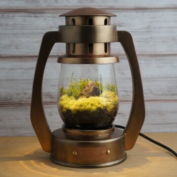 Terrarium Lantern [Antique Copper]の画像