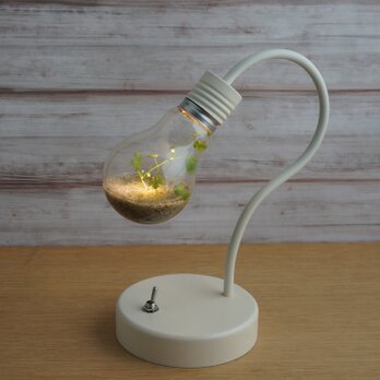 bulb terrarium mini [white]の画像