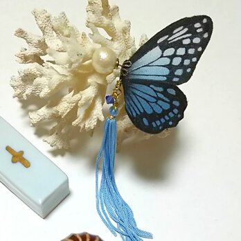 蝶のピアス　大　(アサギマダラ)