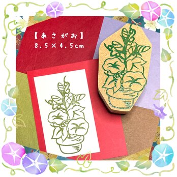✿夏の花はんこ〓【朝顔②】5×9㎝の画像