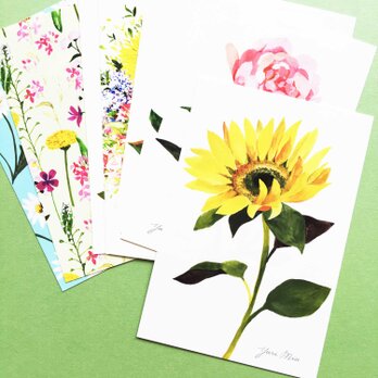 Seasonal Flowers｜花々のポストカード・8枚セット（芍薬、向日葵、野の花 etc）の画像