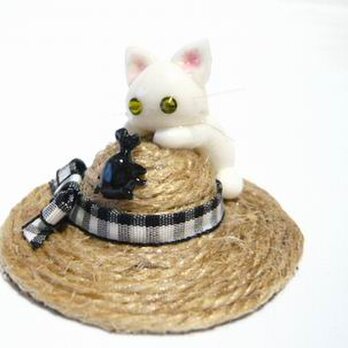にゃんこのしっぽ〇麦わら帽子とかぶとむし○ミニチュア○白猫の画像