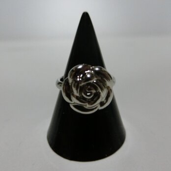 桐谷美ームが可愛く光る美しい指輪の画像