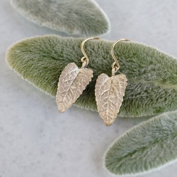 Eupatorium earrings {EP063K10}の画像