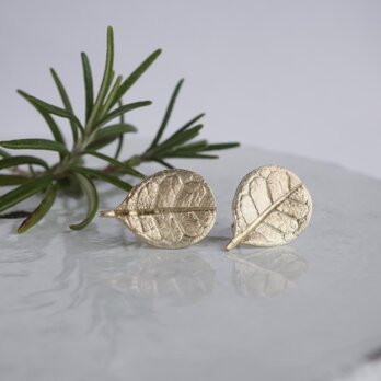 Feijoa leaf stud earrings (Small) [{EP064K10]の画像