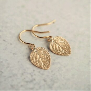 Marjoram earrings {EP061K10}の画像