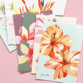 Tropical Flowers｜花々のポストカード・8枚セット（ハイビスカス、プルメリア etc）の画像