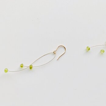 〔14kgf〕RYUSEN ･゜ﾟ peridotの画像