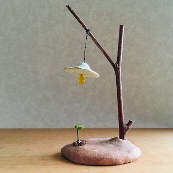 3126.bud ランプと双葉