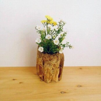 【温泉流木】年輪による彫刻が美しい丸太流木の花瓶 花器 流木インテリアの画像