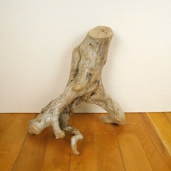 【温泉流木】踊るように伸びる根の流木 インテリア素材 木材の画像