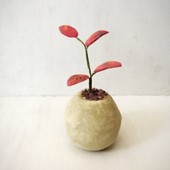 3185.bud 粘土の鉢植え 紅葉の画像