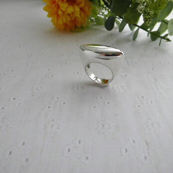 taniku ぷっくり　Ring １４