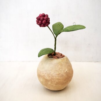 3191.bud 粘土の鉢植え 赤い実の画像