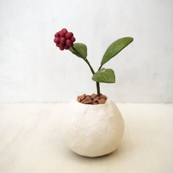 3192.bud 粘土の鉢植え 赤い実の画像