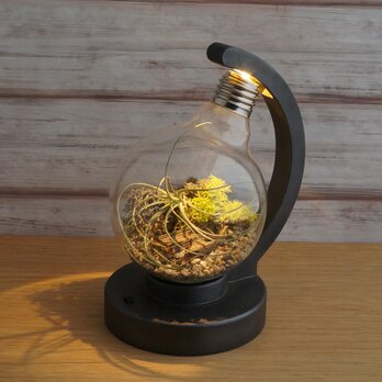 bulb terrarium ball [cast iron]の画像