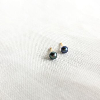 【K14GF】3mm Dainty Black Pearls Stud Pierce/Earringの画像