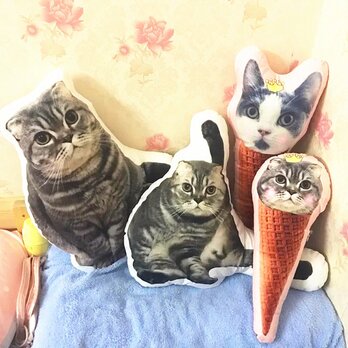 ✩オーダーメイド✩　ワンちゃん、猫ちゃんのアイスクリームオーダークッションの画像