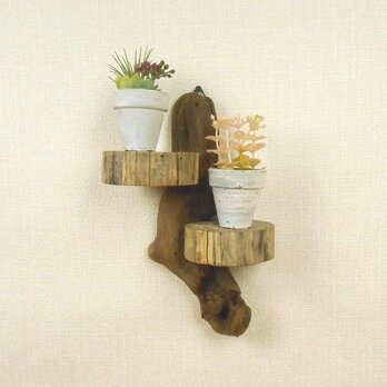 【温泉流木】ミニ丸太のかわいい壁掛け飾り棚001滝 壁掛け棚 ウォールラック 流木インテリアの画像