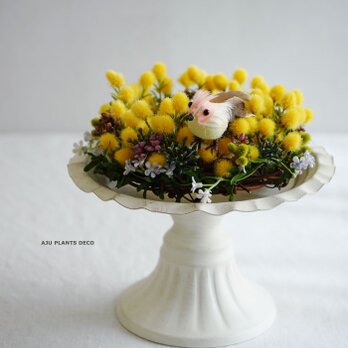 Wreath~mimosa&bird~ （造花）の画像