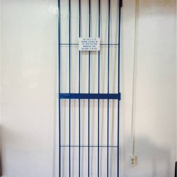 数量限定　IFD-220　鉄扉　鉄柵　アイアン　フェンス　ドア　ドアー　柵　ガードドア　インダストリアル　ペットゲートの画像