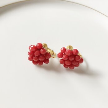 赤サンゴのFruit イヤリング