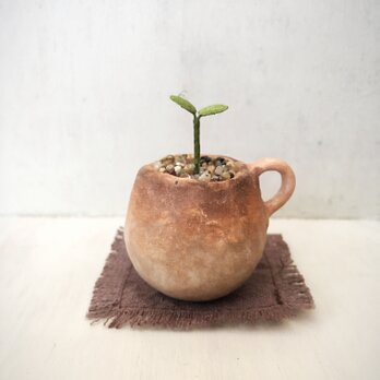 3259.bud 粘土の鉢植え マグカップの画像