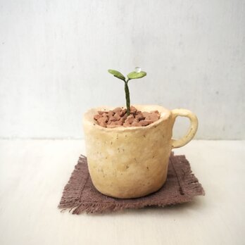 3261.bud 粘土の鉢植え マグカップの画像