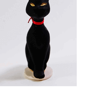 小猫ー黒の画像