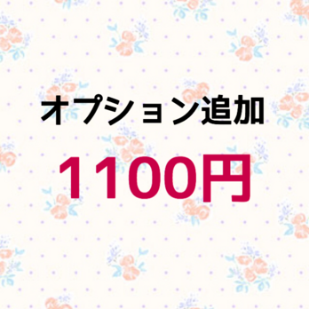 【1100円】オプション追加の画像