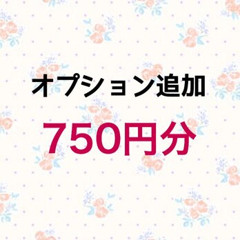 【750円】オプション追加の画像