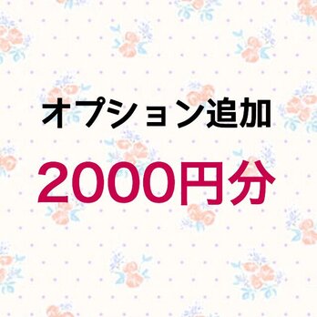 【2000円】オプション追加の画像