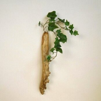 【温泉流木】生き生きとした根が残る流木の壁掛け一輪挿し 花器 流木インテリアの画像
