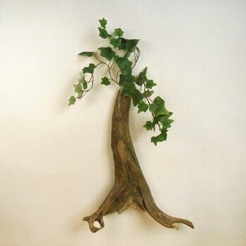 【温泉流木】薄型根流木の壁掛け一輪挿しオブジェ 花器 流木インテリアの画像
