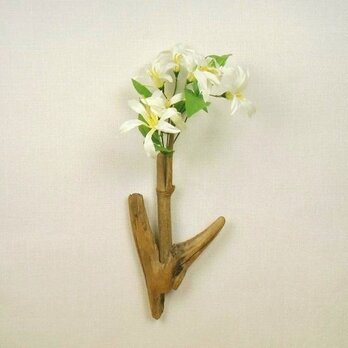 【温泉流木】竹と流木に花咲く壁掛け一輪挿し 花器 流木インテリアの画像