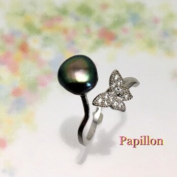 Papillon（パピヨン）の画像