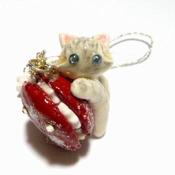 にゃんこのしっぽ○クリスマスカラーのスノーマカロン〇チンチラ〇猫