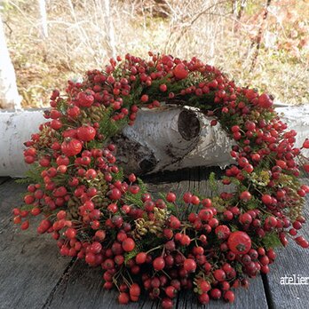 atelier blugra八ヶ岳〜秋色ノイバラの実Wreath01の画像